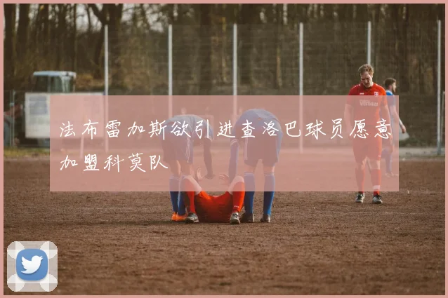 法布雷加斯欲引进查洛巴球员愿意加盟科莫队
